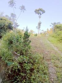 頭份透天華廈 獅潭桂竹林視野美地