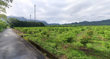 宜蘭土地房屋｜鹿野龍一路無敵便宜農地