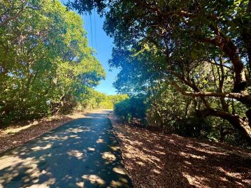芬園鄉舊社荔枝園
