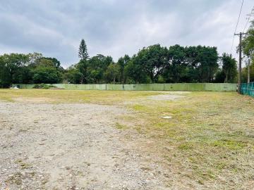 大溪方正平坦美農地雙面臨路行情價誠意售｜八德房仲小呂