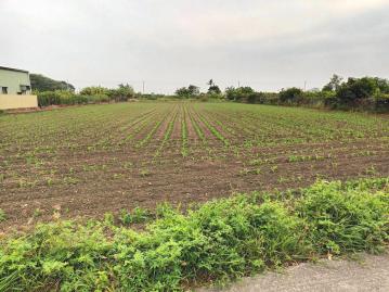 七股區竹橋大路面農地 安平房仲推薦