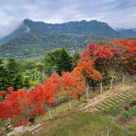 苗栗南庄美農建地  新北廠房倉庫