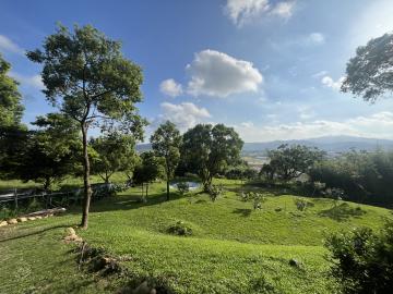 北屯區大樓華廈 鄰8米路有水有電視野莊園農場(有水有電)