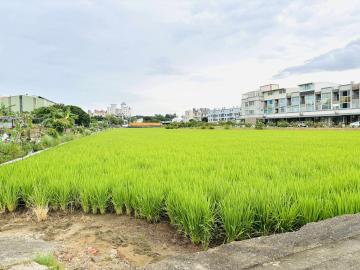 竹南房仲推薦 竹南都計內美田｜公保地【找多喜看房買房去】