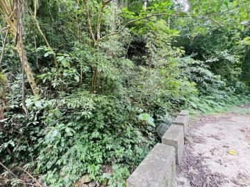 竹南房仲推薦 獅潭山坡地保育區-林業用地【找多喜看房買房去】