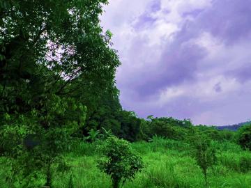 竹南房仲推薦 三灣南銅農地【找多喜看房買房去】