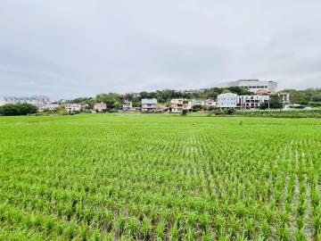 竹南房仲推薦 頭份山下段都計內農地【找多喜看房買房去】