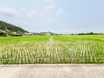 竹南房仲推薦 淡文湖方正美農地【找多喜看房買房去】