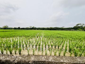 竹南房仲推薦 麗池興隆臨路方正美農田【找多喜看房買房去】