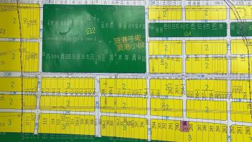 重劃前農地 嘉義高鐵特區太保重劃內農地