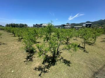 苗栗房屋仲介 公館石墻村朝南稀有農舍