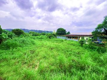 苗栗房屋仲介 三灣南銅農地