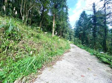 苗栗房屋仲介 南庄社區型休閒景緻林地(B)