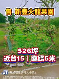 大園房屋推薦 新豐埔和村農地 近台15