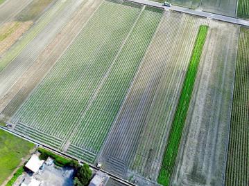 嘉義房屋仲介 水林底價位農地