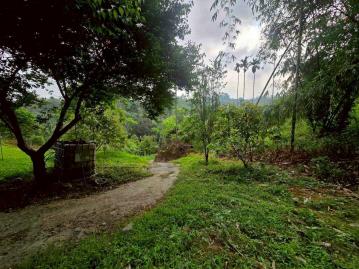 嘉義房屋仲介 梅山秘境造林農地