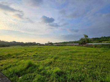 嘉義房屋仲介 梅山交流道旁大坪數一般農地