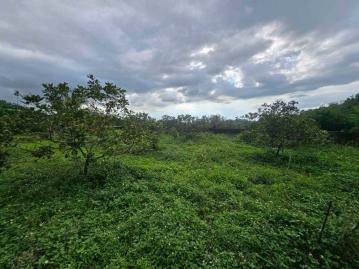 嘉義房屋仲介 梅山雙溪正馬路農地