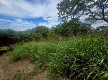 嘉義房屋仲介 梅山雙溪便宜農保用地農地