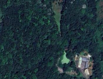 大園土地專家 專任 平鎮低於公告現值農牧用地