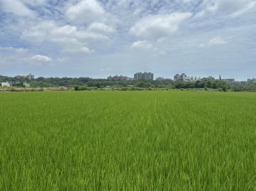 大園土地專家 專任 平鎮誠意出售出價談美農地