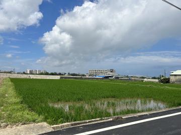 大園土地專家後厝一般農