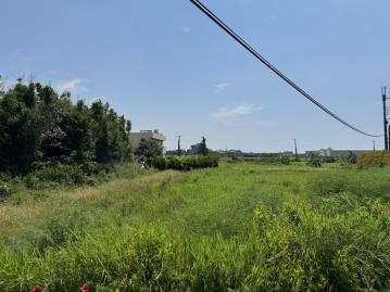 大園土地專家沙崙大面寬一般農