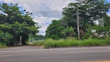  美濃買房買地  地活化＋觀光長照雙題材  農建地    