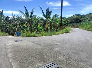 美濃買房買地 新威國小優質農地 