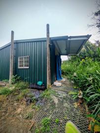 美濃買房買地 近杉林國小買地送鐵皮屋貨櫃屋有水有電有菓樹