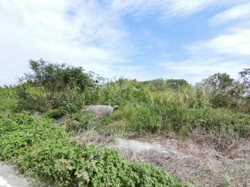 台中房地推薦 芳苑148縣道旁臨活路方正美農地-B