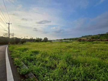 梅山交流道旁大坪數一般農地