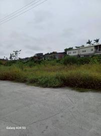 協同中學旁美都計農地(2)