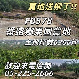 番路鄉果園農地