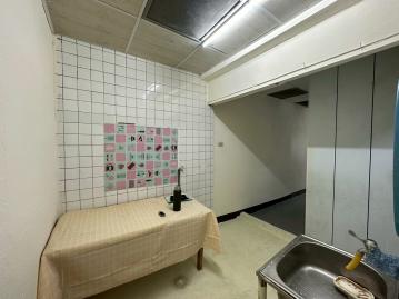 台東買房買地  豐田小平房