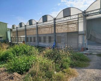 鹿草合法溫室農地