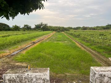 東山服務區旁休閒農地