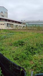 嘉義房屋仲介 中埔吳鳳廟旁美農地