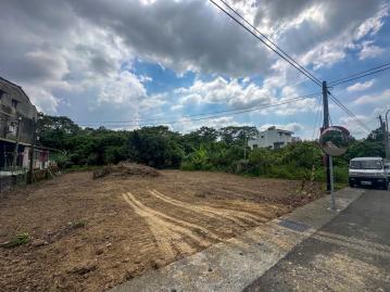㊣大華公路鄉公所旁農地(2)