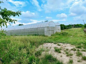 嘉義房屋仲介 育人路尾溫室農地