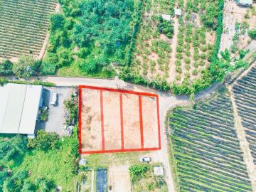  C-林森東路近文財殿小筆農地