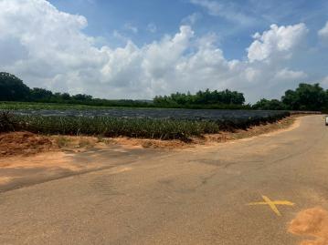 台中航空城區段徵收農地