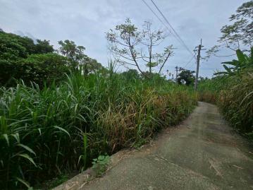 嘉義房屋仲介 雙溪公車牌旁平坦1甲農地