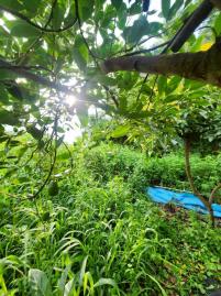 嘉義房屋仲介 梅山過山社區農地