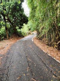 嘉義房屋仲介 梅山過山社區農地