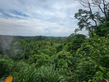 嘉義房屋仲介 梅山過山7.7分農保用地