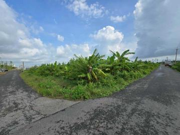 嘉義房屋仲介 太保台積電旁重劃農地（1）
