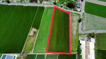 嘉義房屋仲介  北港方正漂亮農地