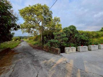 嘉義房屋仲介 梅山交流道旁大坪數一般農地