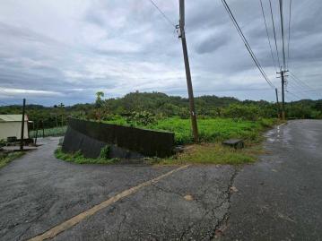 嘉義房屋仲介 梅山雙溪正馬路農地